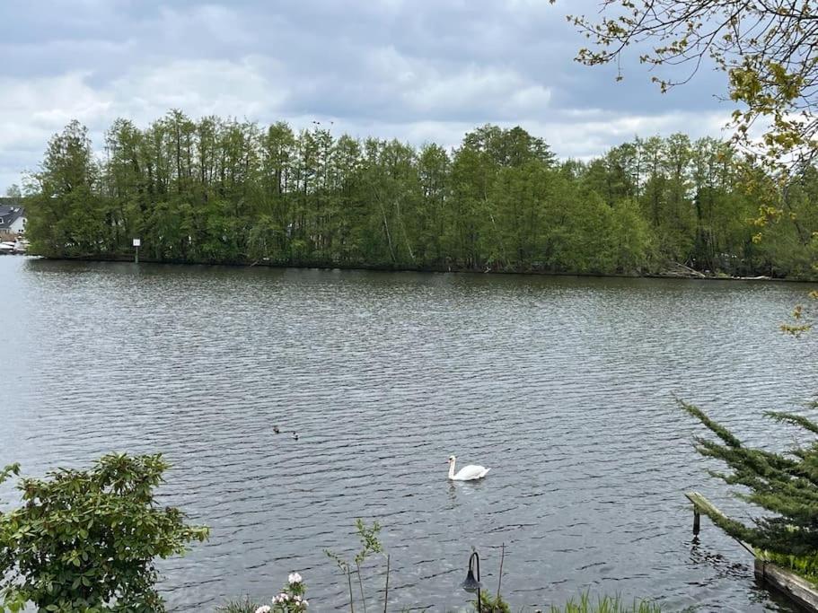 Lakeside Studio - Haus Mit Seezugang Königs Wusterhausen Exterior foto